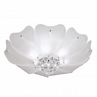 потолочный светильник lightstar lobo 804020 в Новороссийске