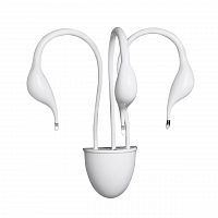 бра lightstar cigno collo wt 751636 в Новороссийске