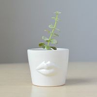 набор для выращивания eco мини-кашпо «губы» в Новороссийске