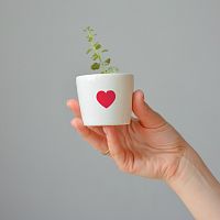 набор для выращивания eco мини-кашпо «сердце» в Новороссийске