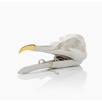 шкатулка для украшений bird skull (белый) в Новороссийске