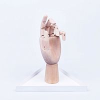 органайзер для украшений the hand белый в Новороссийске