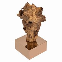 декор burlwood 87 cm в Новороссийске