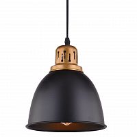 подвесной светильник arte lamp eurica a4245sp-1bk в Новороссийске