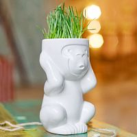 горшок для растений eco игнорик в Новороссийске