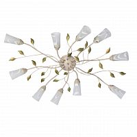 потолочная люстра mw-light восторг 242015510 в Новороссийске