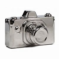 предмет декора camera серебряная в Новороссийске