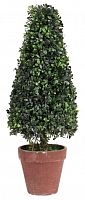 искусственное дерево в горшке topiary в Новороссийске