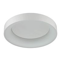 потолочный светодиодный светильник odeon light sole 4062/50cl в Новороссийске