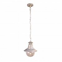 уличный подвесной светильник arte lamp amsterdam a1523so-1wg в Новороссийске